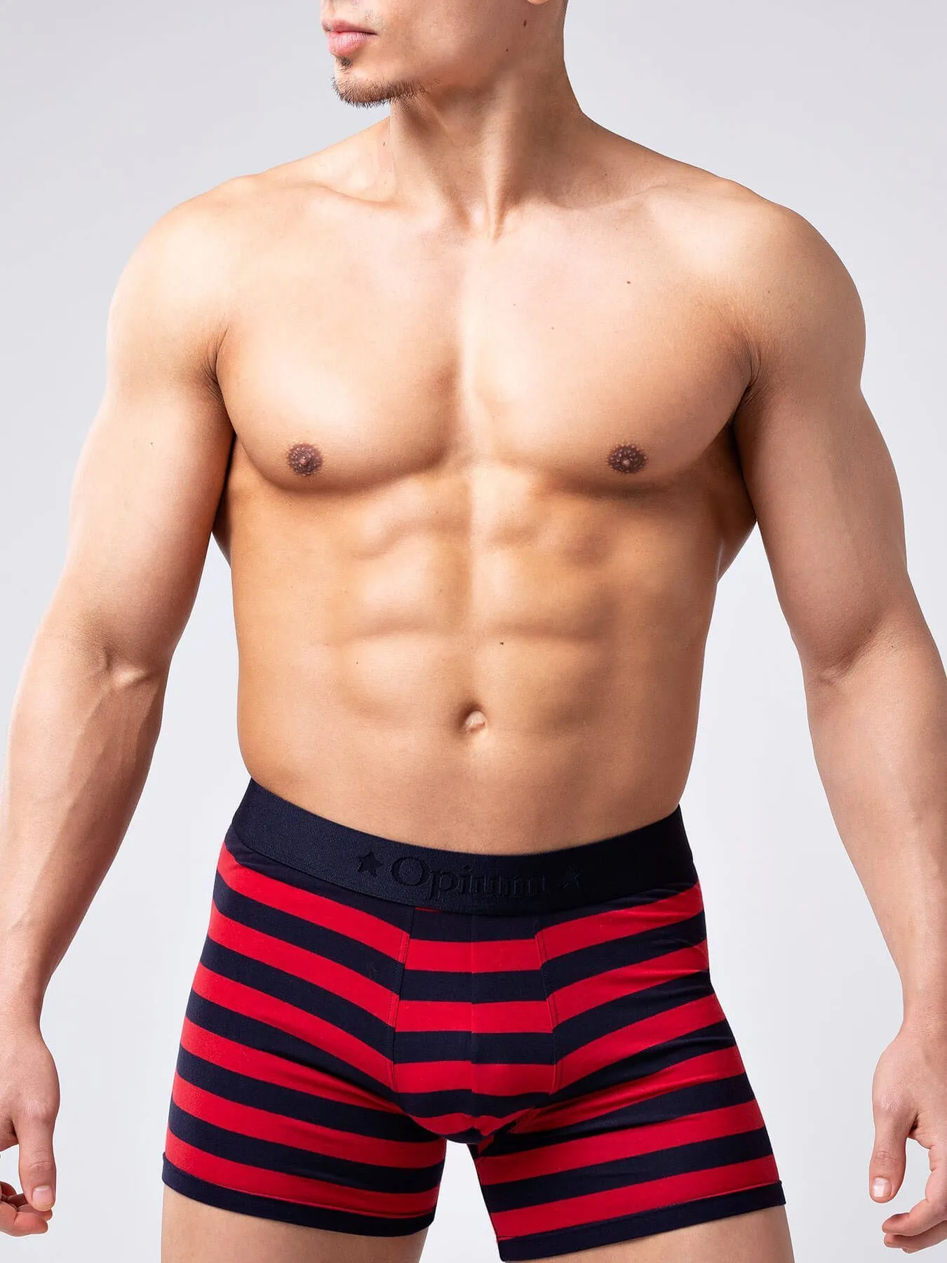 Эротическое трусы мужские удлиненные боксеры opium r126 в полоску в Воронеже