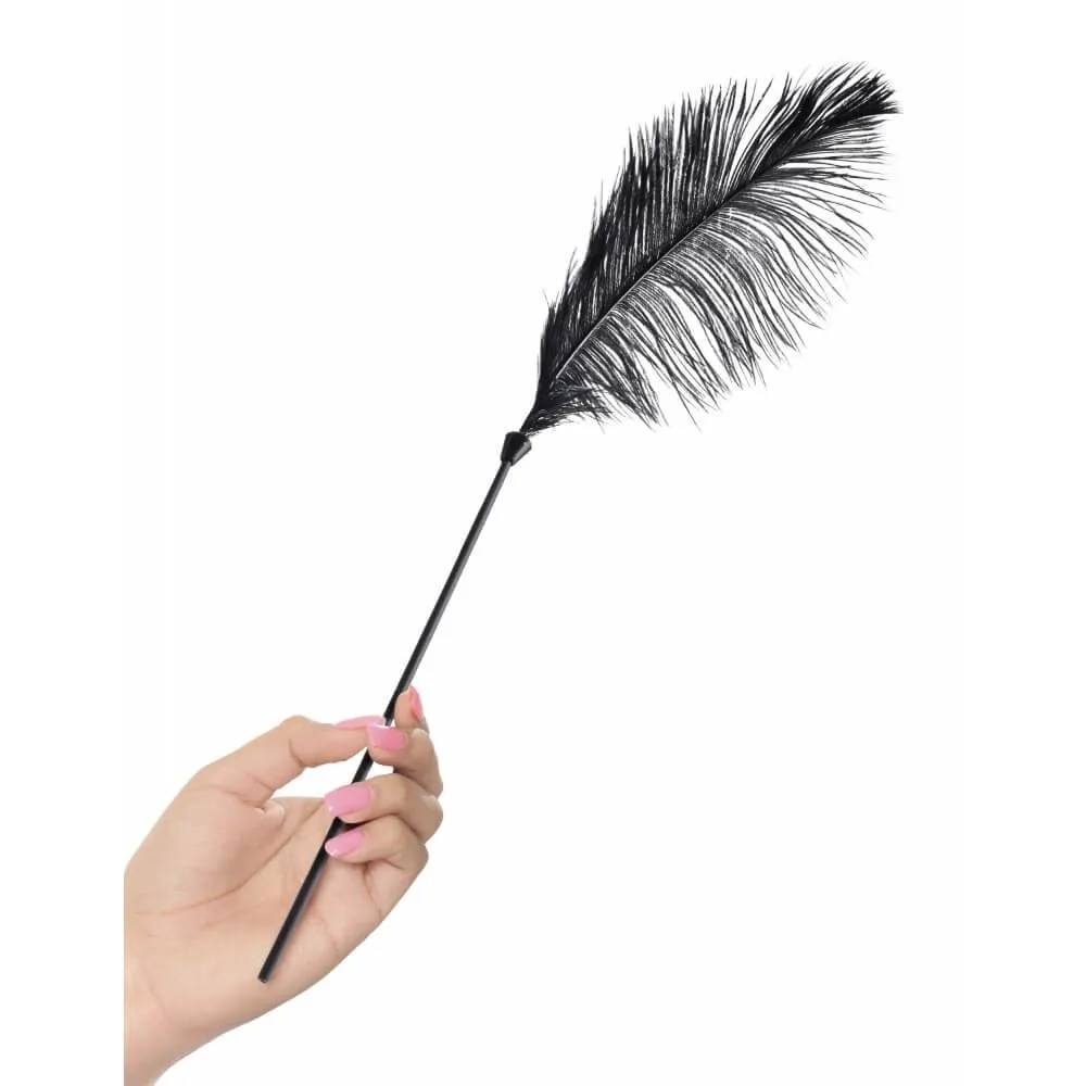 перо pipedream love plumes, черное в Воронеже