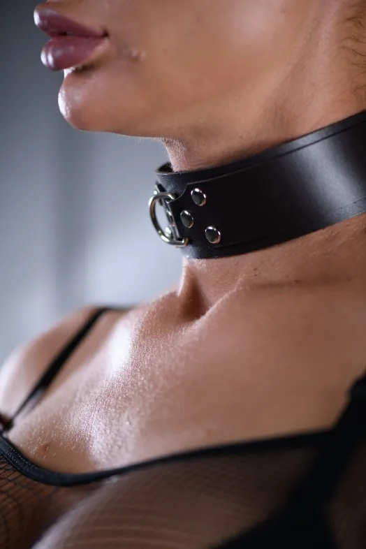 ошейник с поводком кожаный sex game коричневый 6010ars в Воронеже