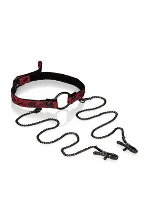 кляп-кольцо (кляп-рамка) с зажимами на соски scandal open mouth gag with clamps в Воронеже