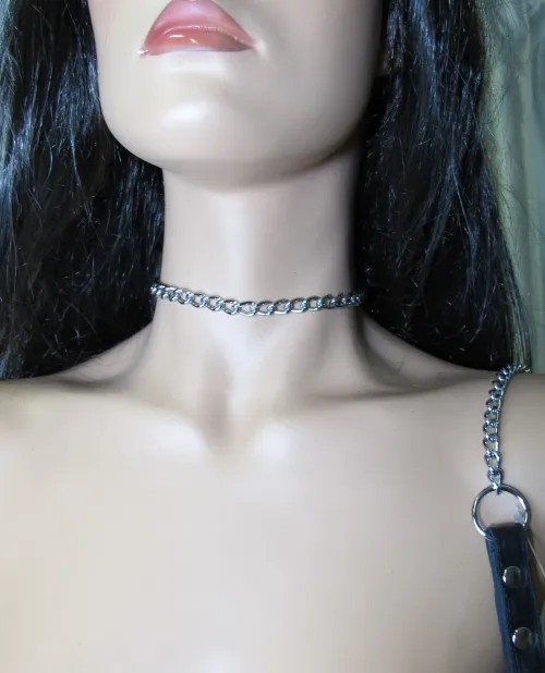 поводок 57002ars в Воронеже