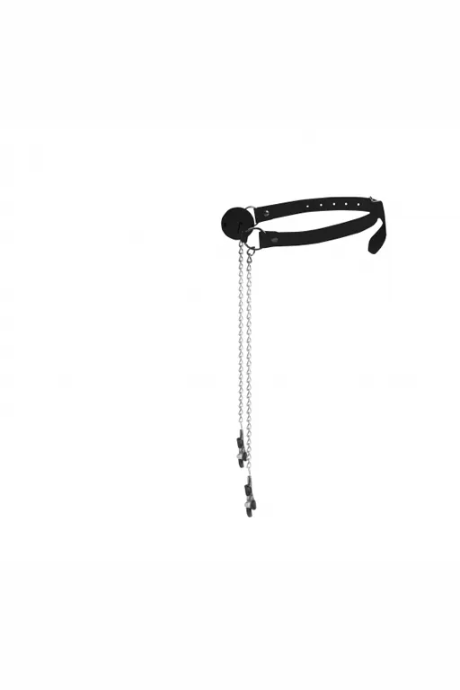 кляп-шарик с зажимами на соски ball gag with nipple clamps в Воронеже