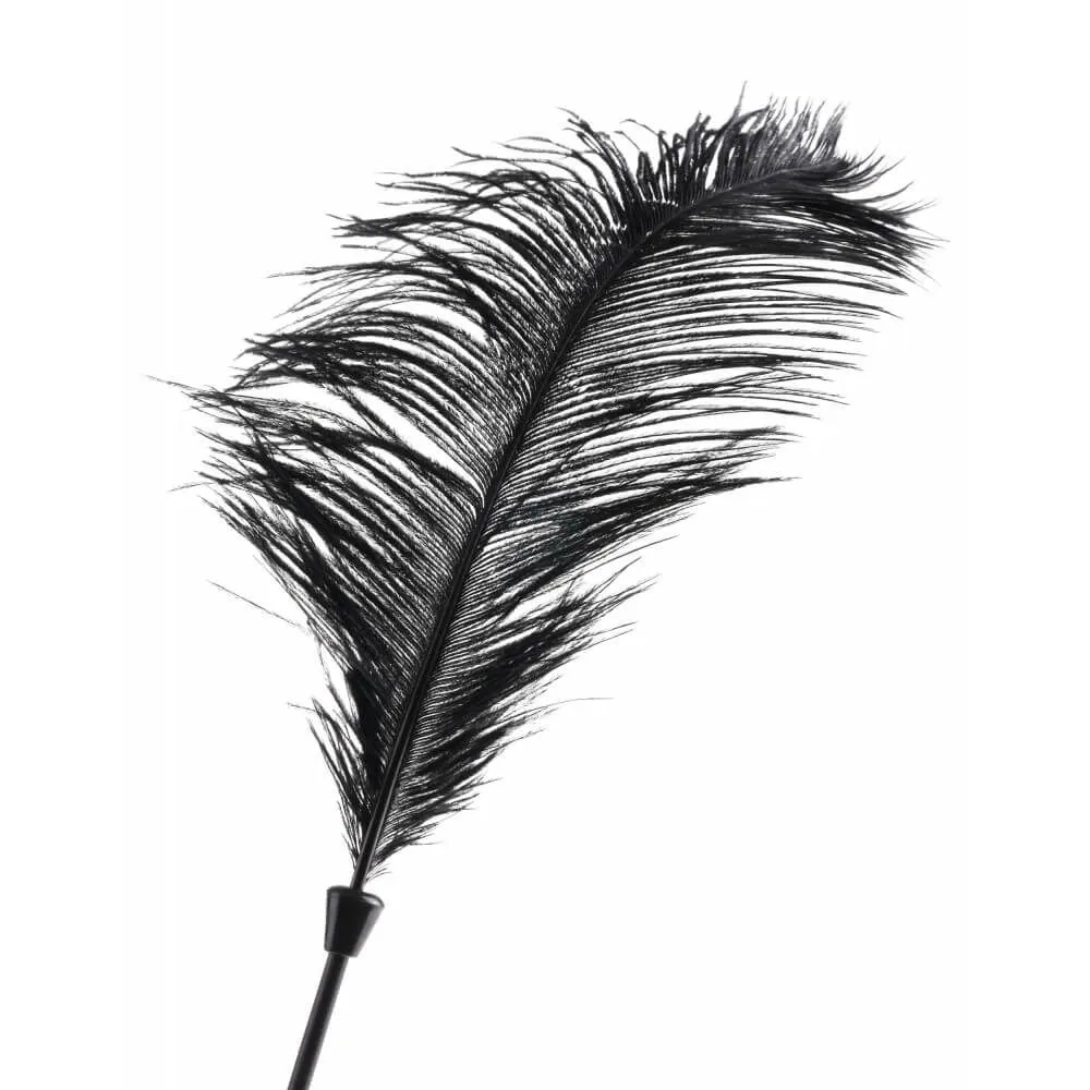 перо pipedream love plumes, черное в Воронеже
