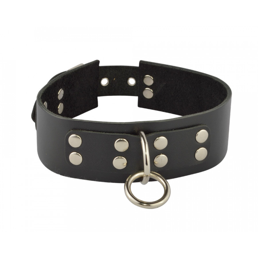 ошейник с кольцом 3195-1 в Воронеже