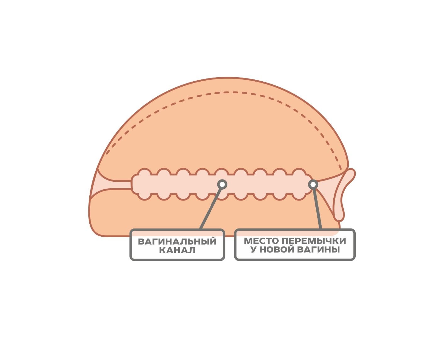 массажёр для мужчин - вагина малая биоклон в Воронеже