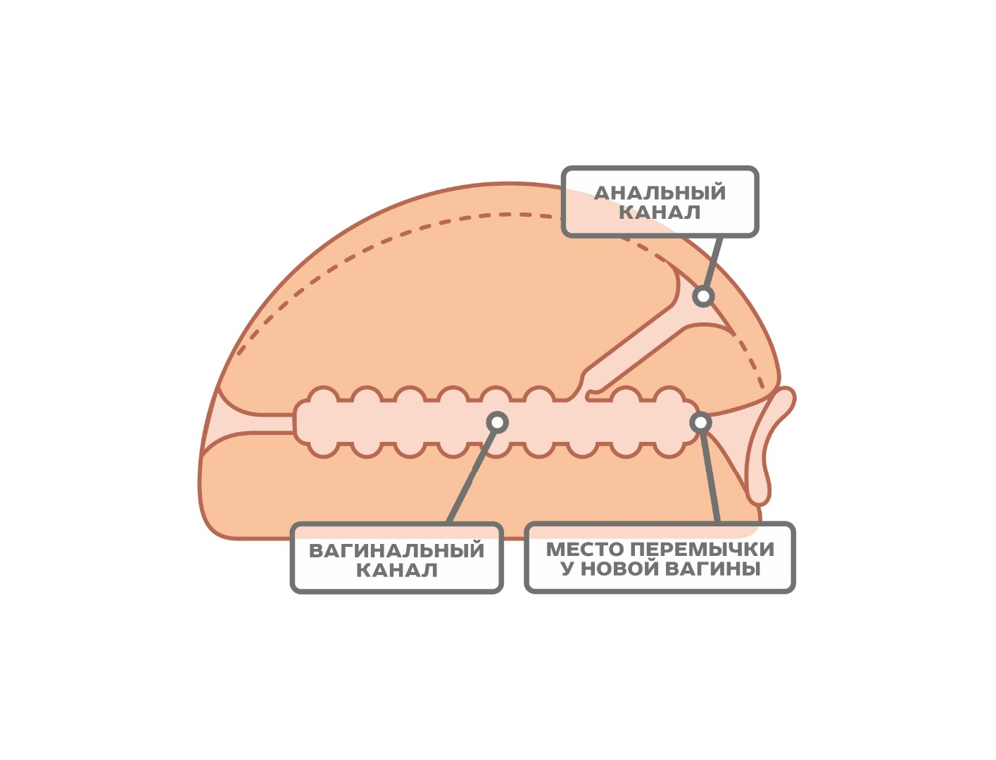 мастурбатор для мужчин 659401ru в Воронеже