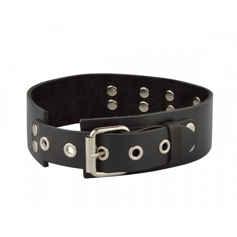 ошейник с кольцом 3195-1 в Воронеже