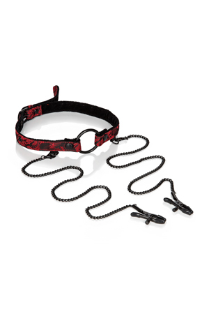 кляп-кольцо (кляп-рамка) с зажимами на соски scandal open mouth gag with clamps в Воронеже